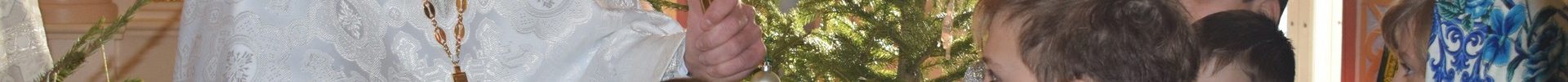 Рождественская коляда на приходе Преображенского храма д. Спас-Каменка